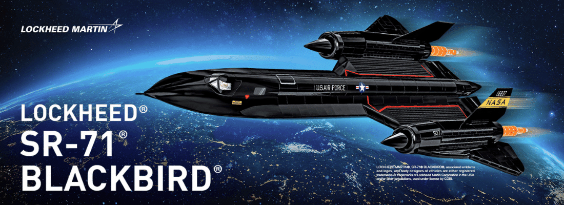 cobi blackbird